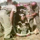 Imagen para el artículo titulado El día que la fuerza aérea de Estados Unidos eyectó un oso drogado de un avión a 10.000 metros de altura